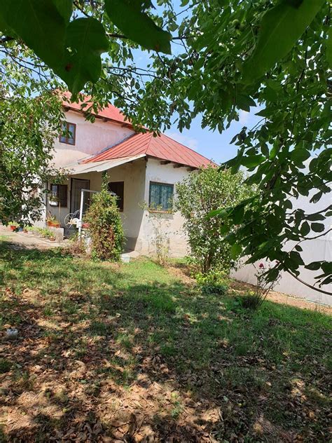 apartamente de vanzare turceni|Apartamente de vanzare Turceni Gorj • Anunturi, oferte, preturi